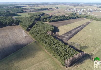 Do sprzedaży nieruchomość leśna