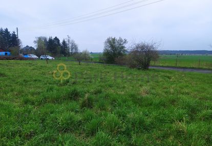 Duża działka zagrodowa w krążkowie!