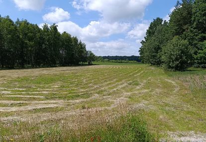 Działka rolna błogoszcz