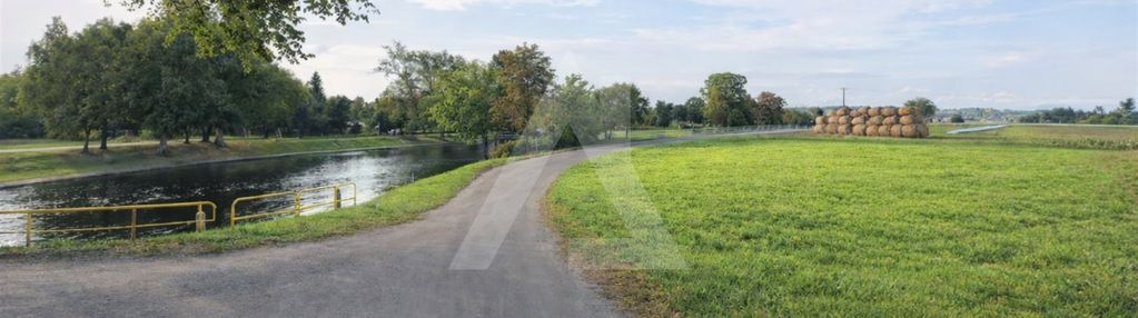 Lisi ogon, działka 1161 kw, woda i prąd, kostka!