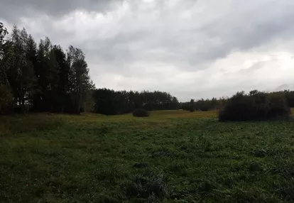 Działka na sprzedaż 3000m2