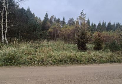 Działka za ścianą lasu i jeziorem w pobliżu!