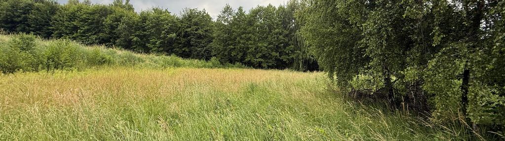 Działka budowlana w pawlikowicach na sprzedaż!