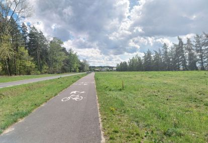 Cisza, zieleń i... jezioro! ścieżka rowerowa, tras