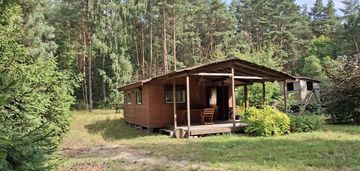 Działka budowlana pod lasem z dużym potencjałem