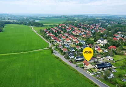 Dom przy polach witkowickich, prądnik biały