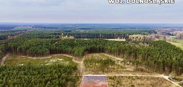 Działka budowlana w bezpośrednim sąsiedztwie lasu