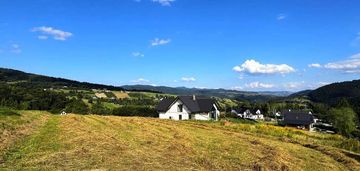 Działka z wz | 5291 m2 | widok na pieniny