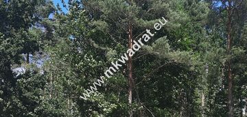 Stara wieś super lokalizacja, media!