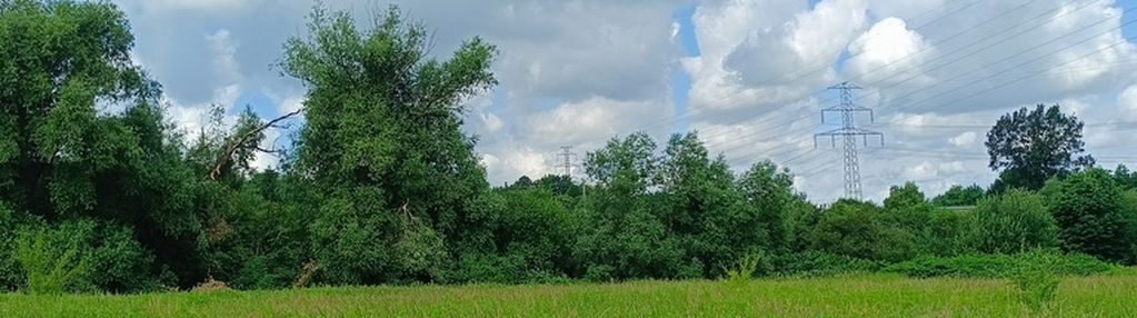 Działka rolna na obrzeżach świebodzic.