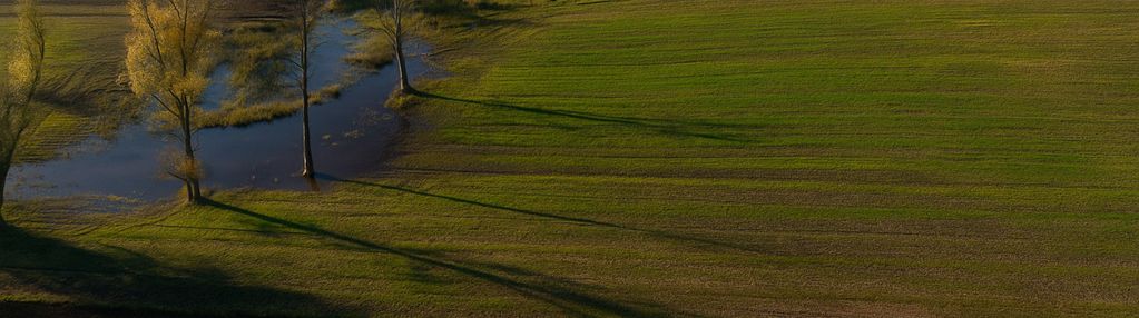Działka inwestycyjna 4 ha – kamień duży