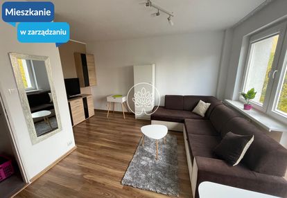 Kawalerka szwederowo ul. brzozowa bydgoszcz
