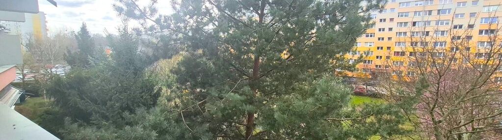 Okazja do remontu-54m2-rozkład-med.miejskie-balkon