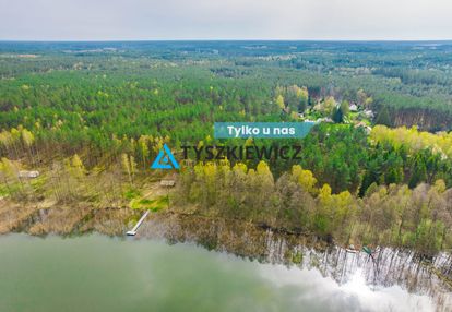 Las z linią brzegową jeziora - piece %nowa cena%