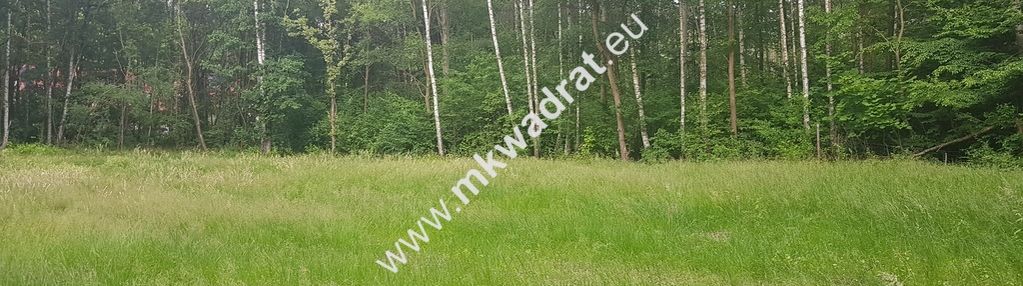 Blisko wkd | wszystkie media | cicha i słoneczna