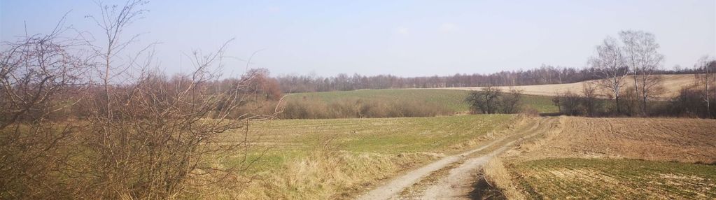 Działka rolna, łukowiec gmina sicienko
