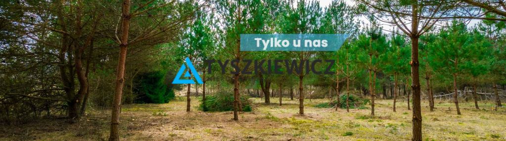 Działka budowlana w bezpośrednim sąsiedztwie lasu!