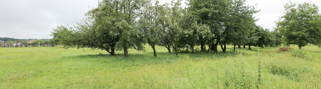 Działka 22 ar z wz na domy, szeregówki, bliźniaki