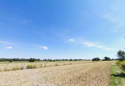 Borzęcin Działka pod inwestycję farmę ranczo