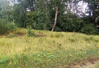 Działki z warunkami zabudowy-gmina krzeszyce!