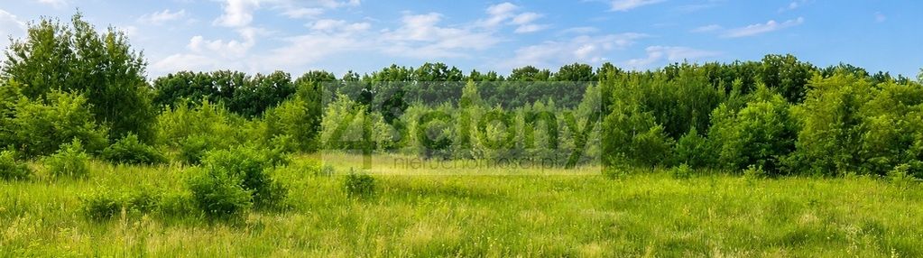Działki inwestycyjne w runowie o pow. 3,7271 ha