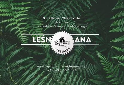 Działka z widokiem na las, obok vilpark