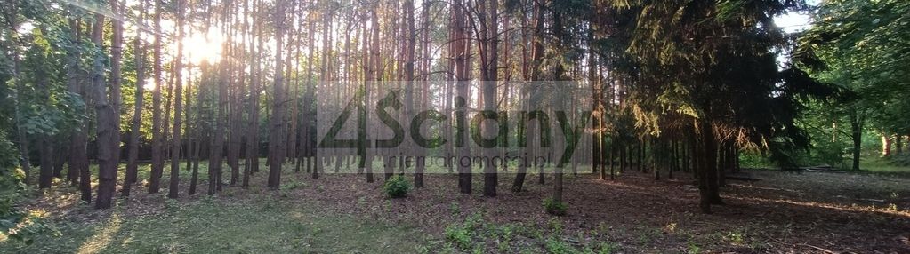 Sulejówek, piękna dzialka z drzewami