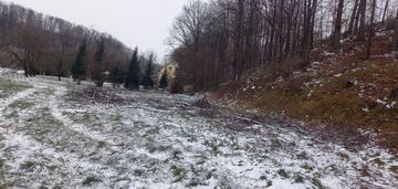 Działka budowlana z lasem
