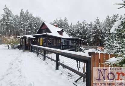 Dom w puszczy augustowskiej