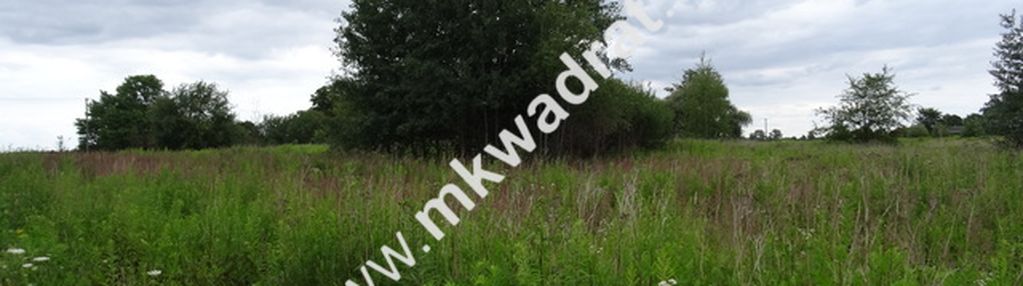 Działka w miejscowości milęcin