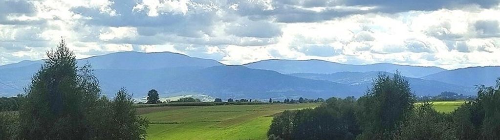 Działka w lipowej -twój przyszły dom
