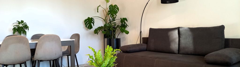 Piątkowo- 2 niezależne pokoje- osobna kuchnia!