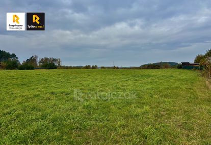 Zabudowa jednorodzinna wolnostojąca lub bliźniacza