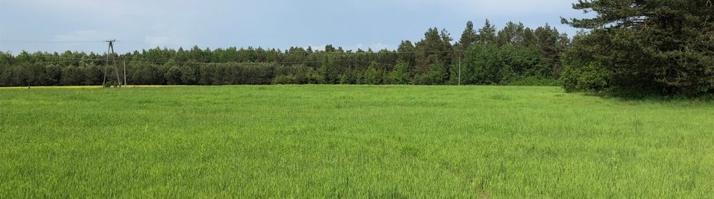 Działki budowlane w rabinówce! natura 2000!