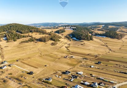 Szukasz lokaty kapitału w sąsiedztwie lasu?