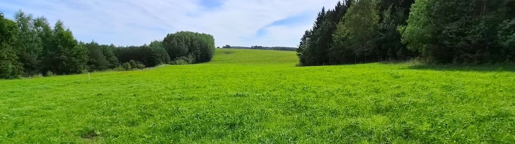 Dom pod lasem -działka z wz | warmia