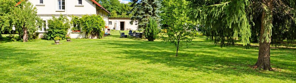 Siedlisko - dom plus teren 1,1020 ha . kedrzyno gmina siemyśl