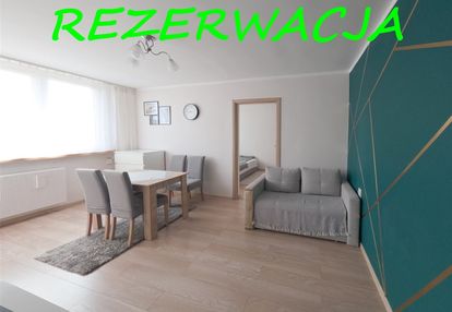 2 pokojowe mieszkanie do wynajęcia