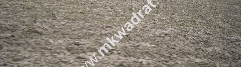 Pasikonie k.kampinosu ciekawa oferta mkwadrat.eu