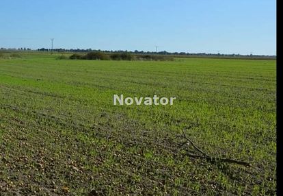 Kozielec - działka 3000 m2 z warunkami zabudowy!