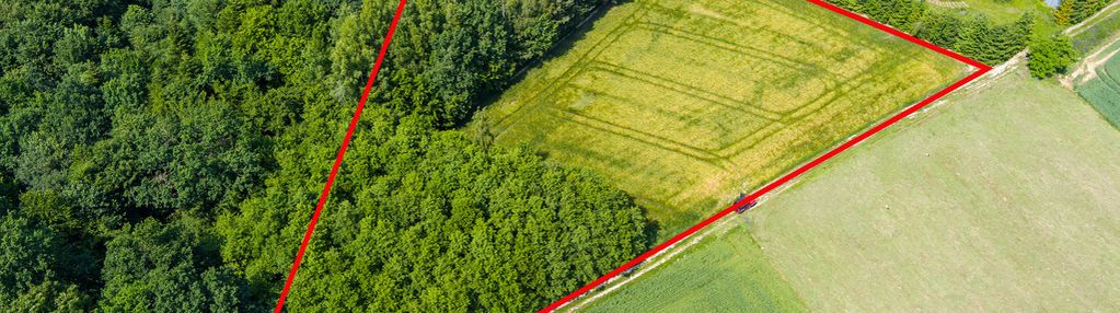 Na sprzedaż: działka 79 arów- domosławice