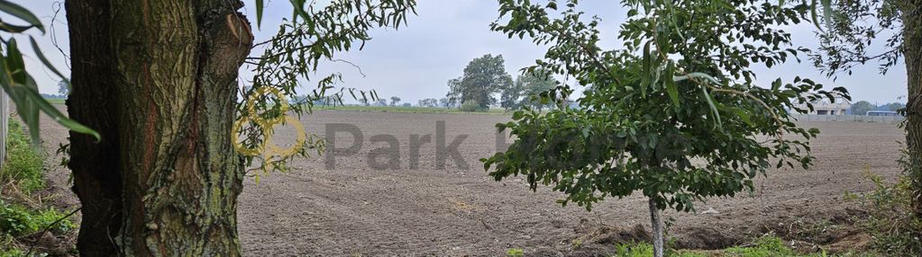 Idealne miejsce na twój dom