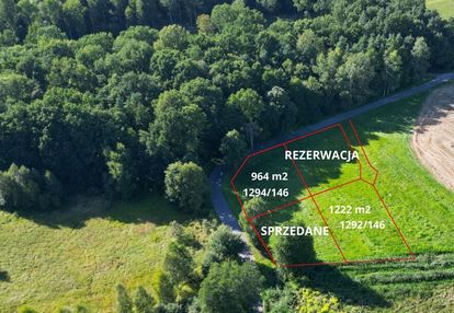 Malownicze pasieki, las, media i asfalt !