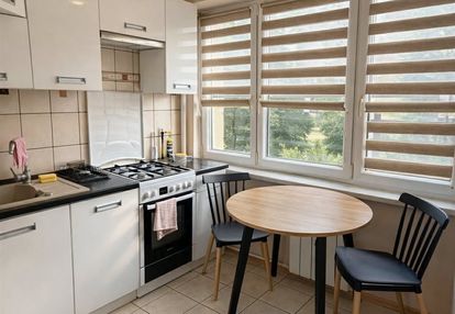 Do wynajecia urocze mieszkanie na parterze