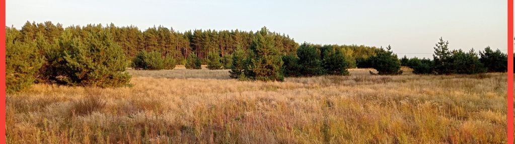 Tylko u nas !! działka na osiedlu pod lasem !!