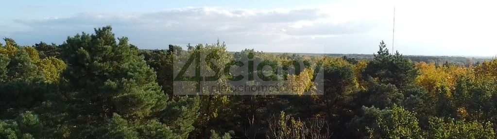 Rezydencjonalna, leśna działka