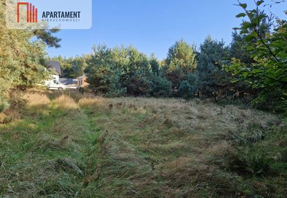 Działka budowlana z własnym lasem