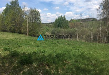 Działka skorzewo 4,62 ha