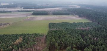 Piękny las, gorzakiem (gm. gnojno)