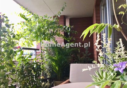 Miłe zacisze, piękny apartament z tarasem!